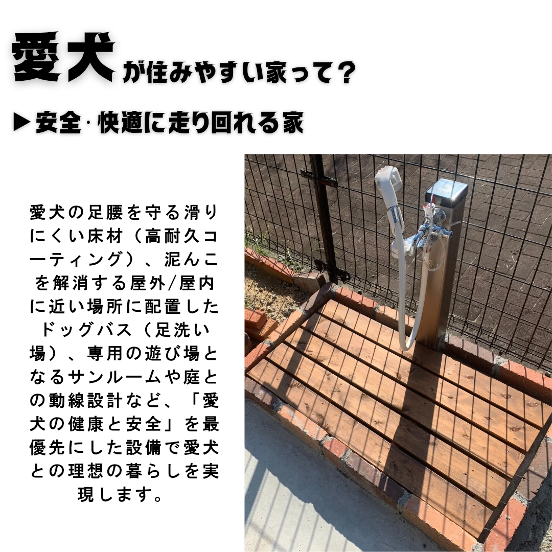 新春キャンペーン_WEB_20251230_094758_0002.png