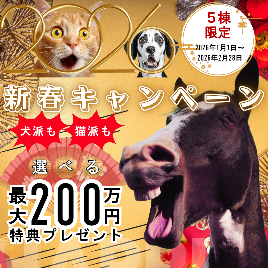 新春キャンペーン